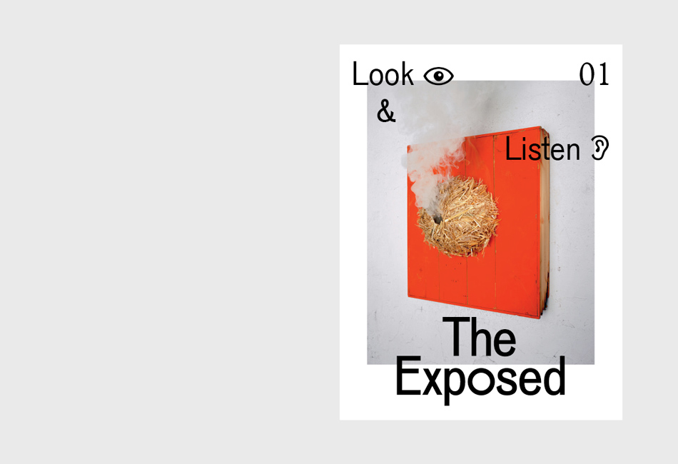 The Exposed – Issue 01
